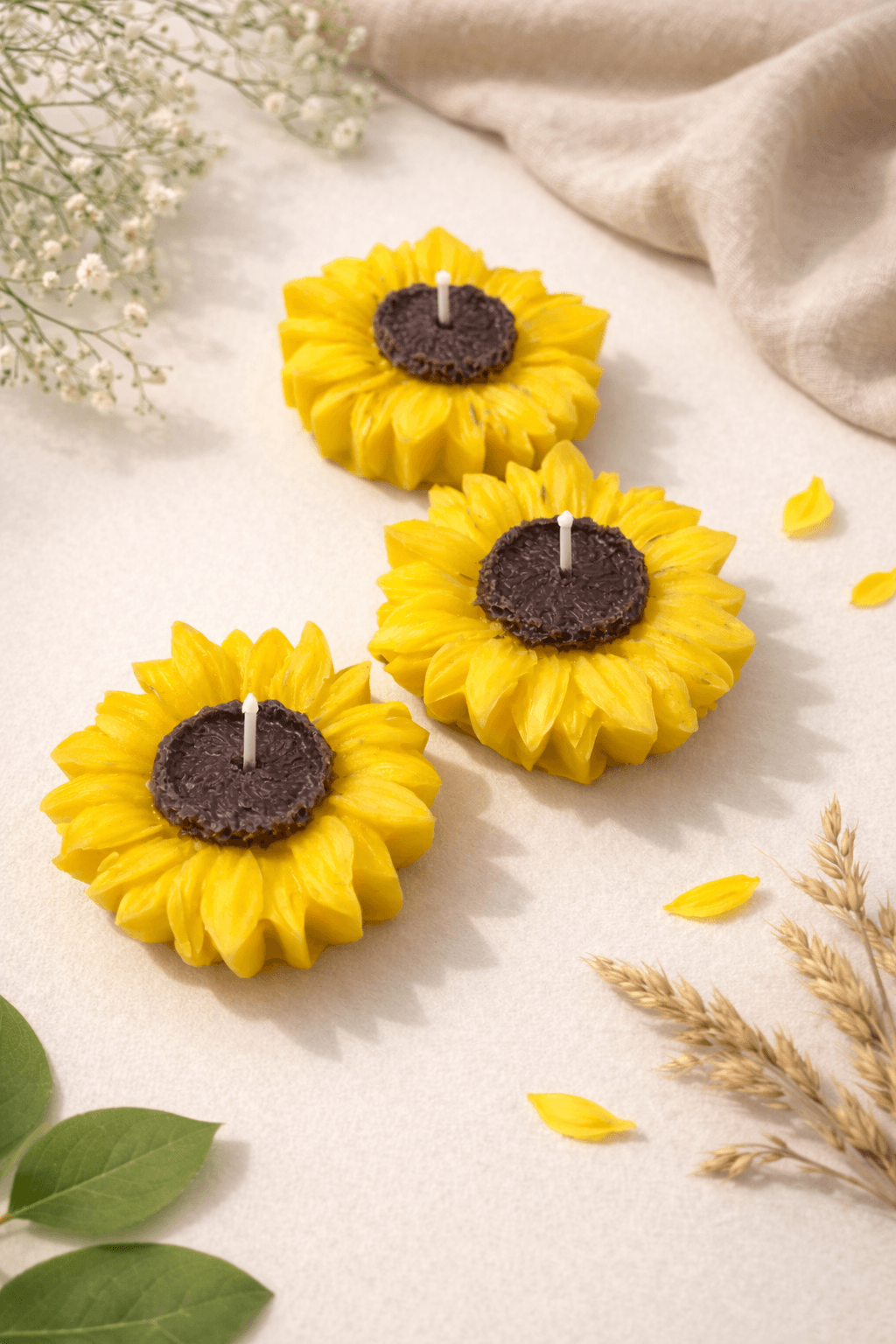 Girasol